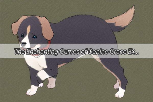 The Enchanting Curves of Canine Grace Exploring the Back of Mans Best Friend